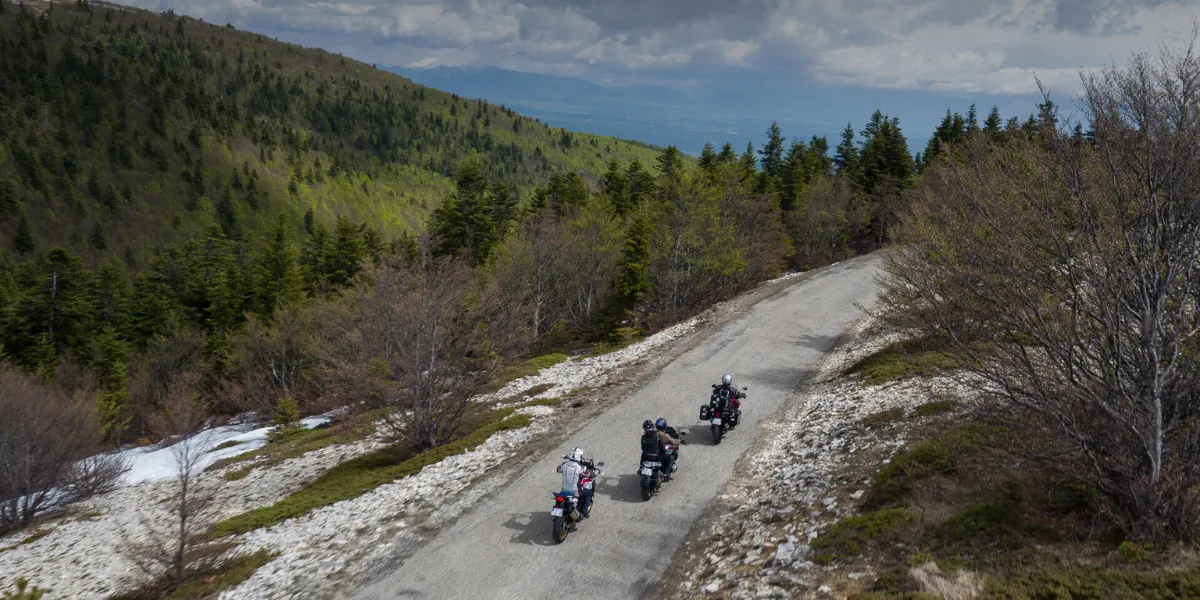 Michelin Anakee Wild vs Anakee Adventure : lequel choisir pour le trail ?