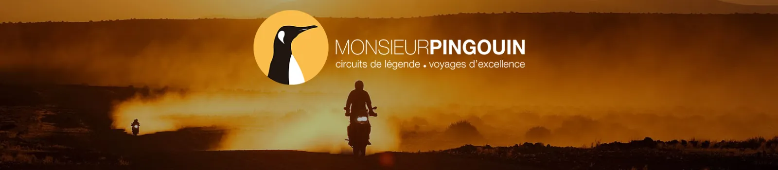 Monsieur Pingouin