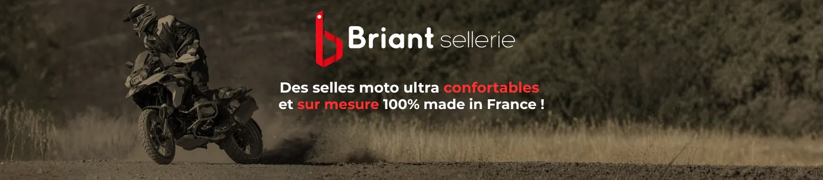 SELLERIE BRIANT