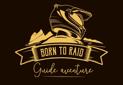 Logo Born to raid